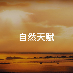 午夜无码片在线观看影院